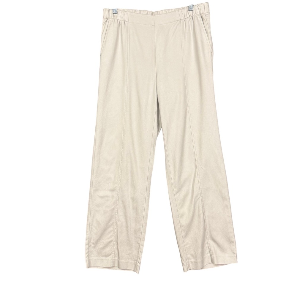 J Jill Pure Jill Pants Womens Small Stone Beige Pumice Wide Leg Tencel NWT